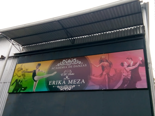 ACADEMIA DE DANZAS ERIKA MEZA