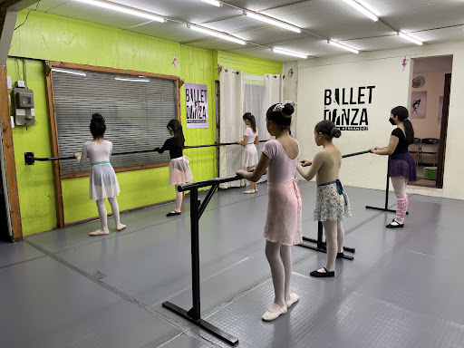 Ballet y Danza Daniela Hernández