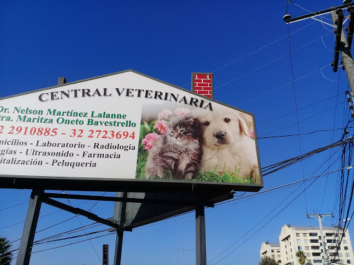 Central Veterinary Martinez Oneto