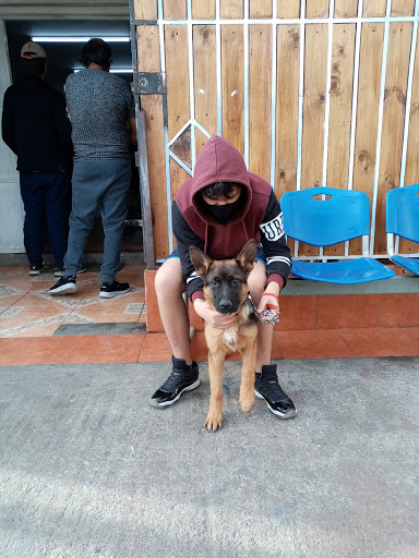 Clinica Veterinaria Garritas