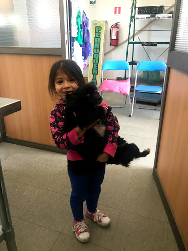 Clínica Veterinaria Neopets