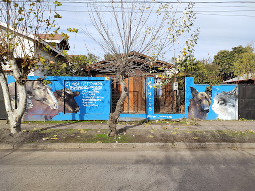 Clinica Veterinaria San Francisco de Assisi