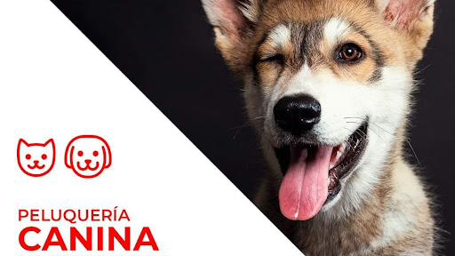 Clínica veterinaria Aragón Peluquería canina Y Felina