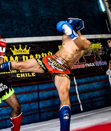 Club Low Kick Fight Kick Boxing