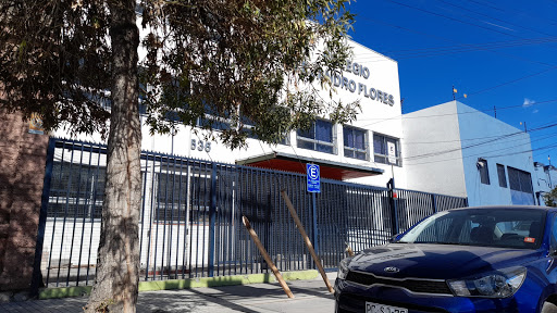 Colegio Alejandro Flores