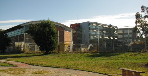 Colegio Almondale Lomas, Lomas de San Sebastian
