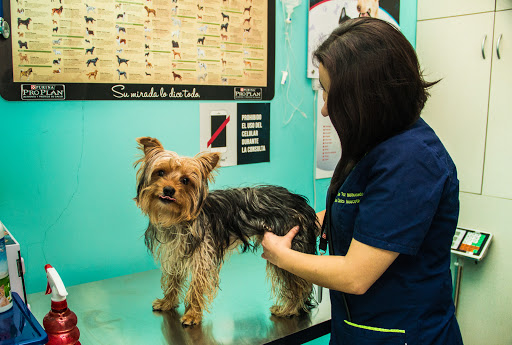 G-Pet Tienda Veterinaria