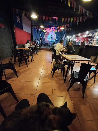 Gato En La Ventana