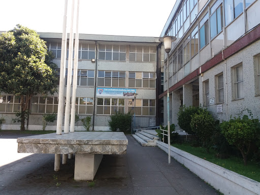 Liceo Enrique Molina Garmendia