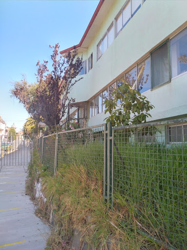 Liceo María Luisa Bombal