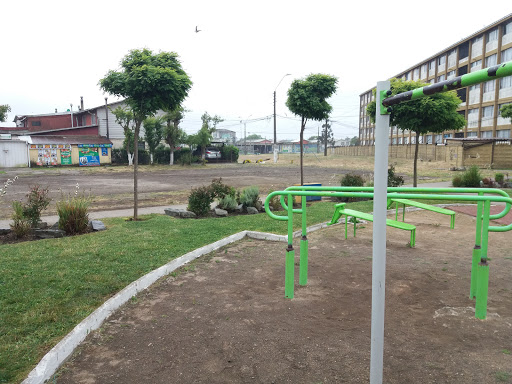 Parque MonkeyBars Talcahuano