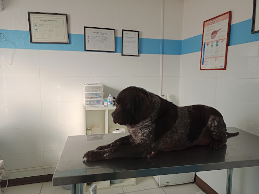 Veterinaria Dr. Home