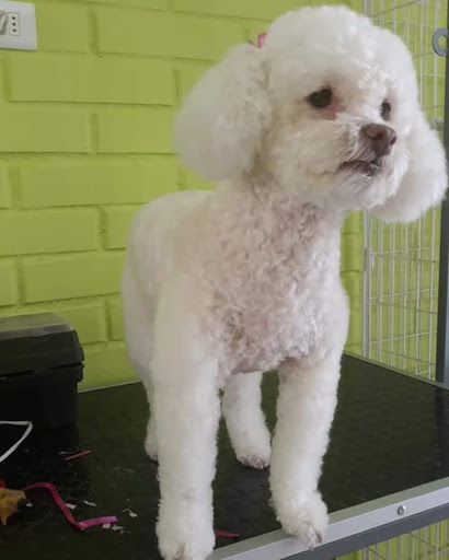 Veterinaria Loren