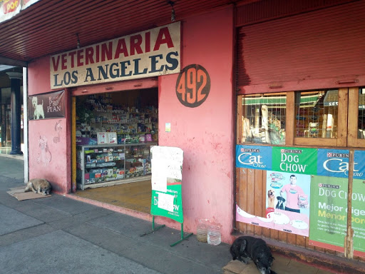 Veterinaria Los Angeles