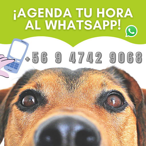 Veterinaria Munay