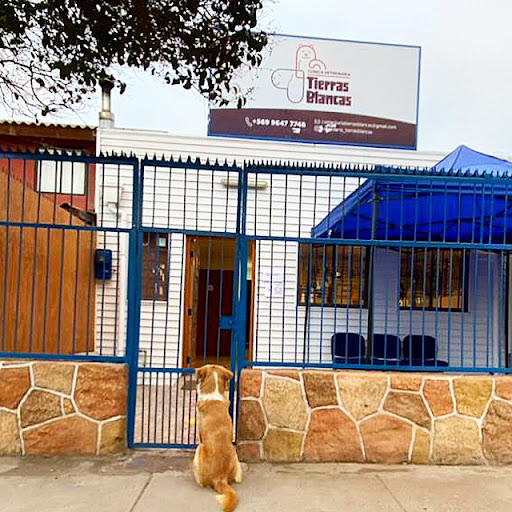 Veterinaria Tierras Blancas