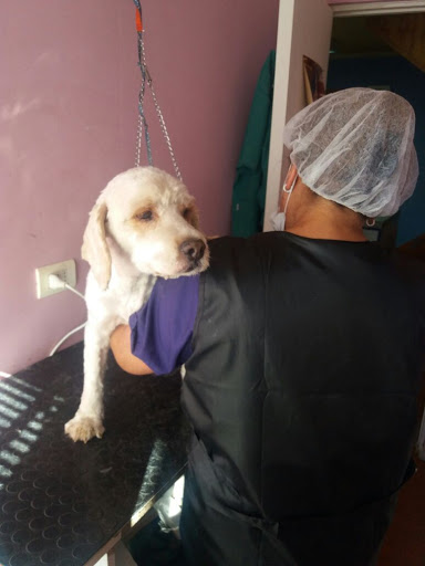 Veterinary Clinic Santa Maria