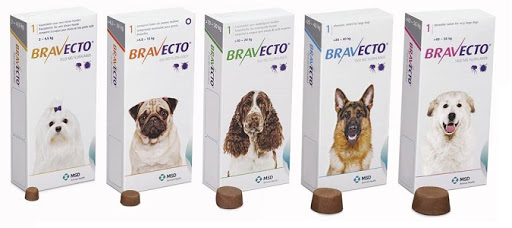 Veterinary Dogs and Cats