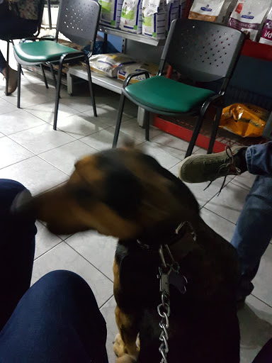 Veterinary clinic Roundabout