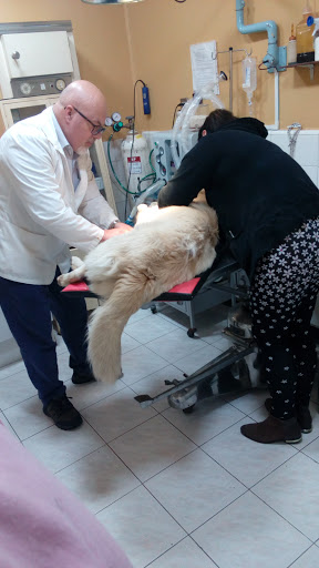 Zooclinic